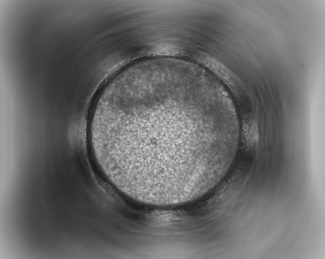 X0000093490534200711020953