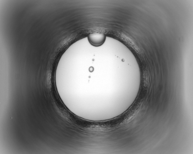 X0000093490538200711020953