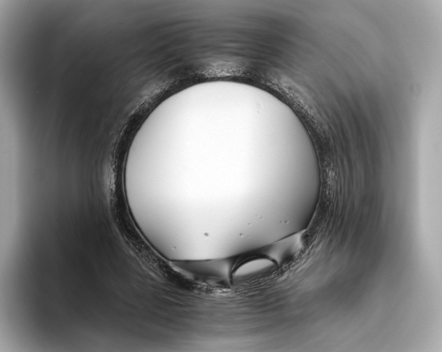 X0000093490539200711020953