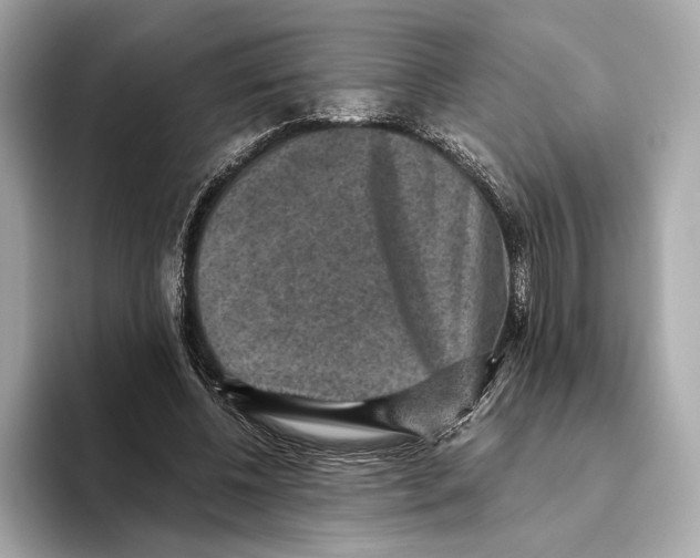 X0000093490540200711020953