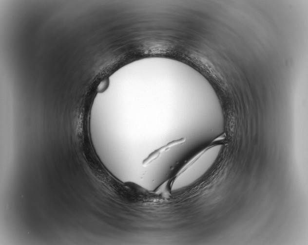 X0000093490543200711020953