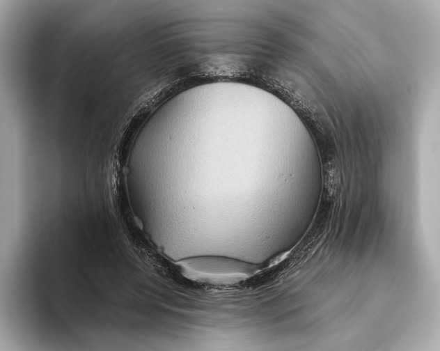 X0000093490544200711020953