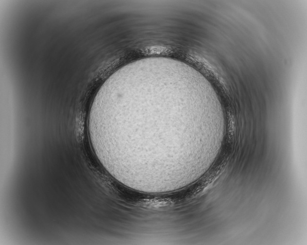 X0000093490545200711020953