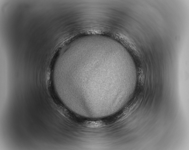 X0000093490548200711020953