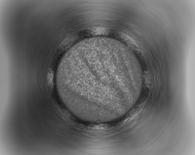 X0000093490550200711020953