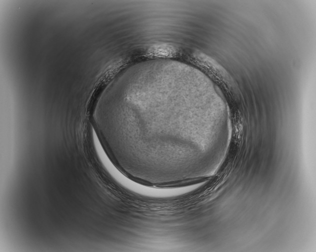 X0000093490552200711020953