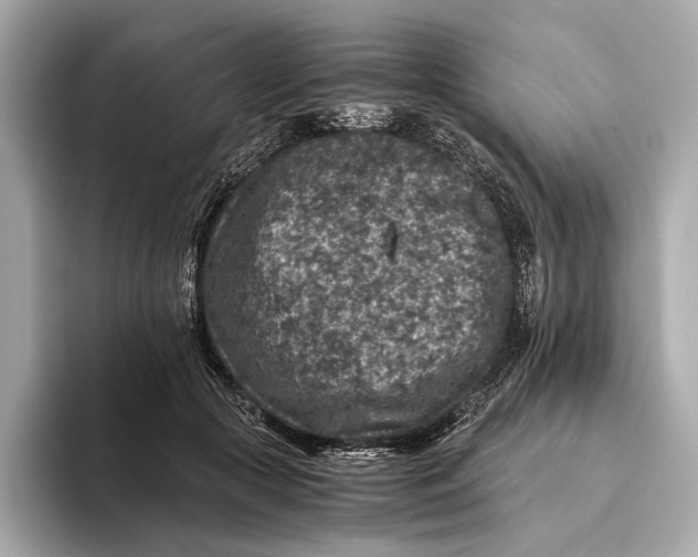 X0000093490553200711020953