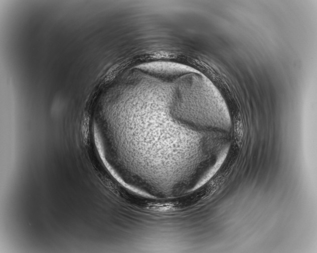 X0000093490554200711020954