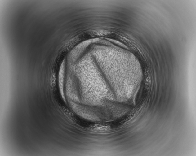 X0000093490555200711020954