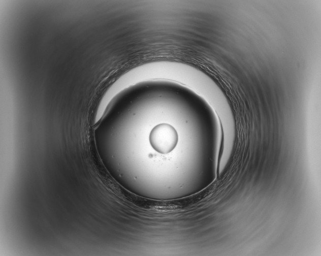 X0000093490556200711020954