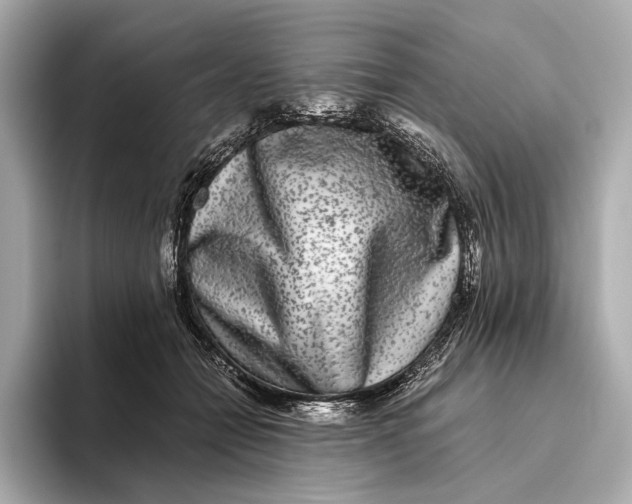 X0000093490558200711020954