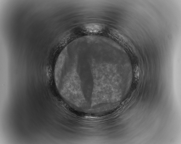 X0000093490559200711020954