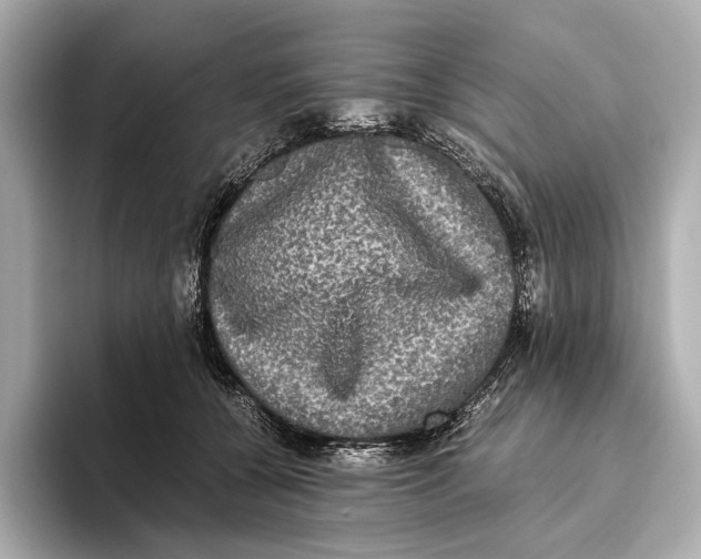 X0000093490560200711020954