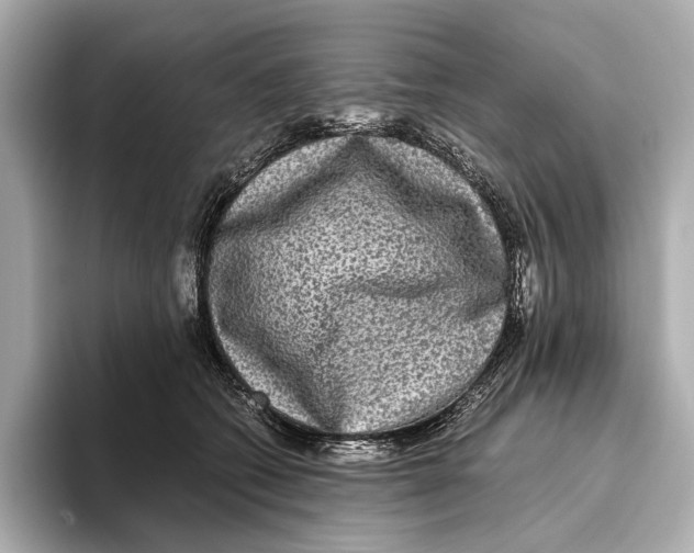 X0000093490562200711020954