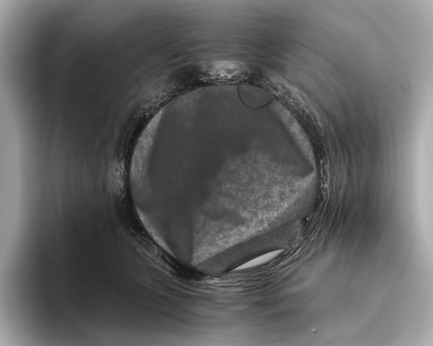 X0000093490563200711020954