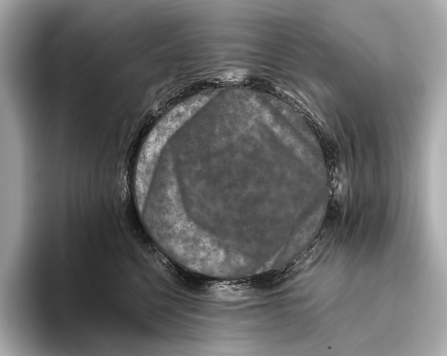 X0000093490568200711020954