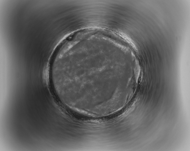 X0000093490580200711020953