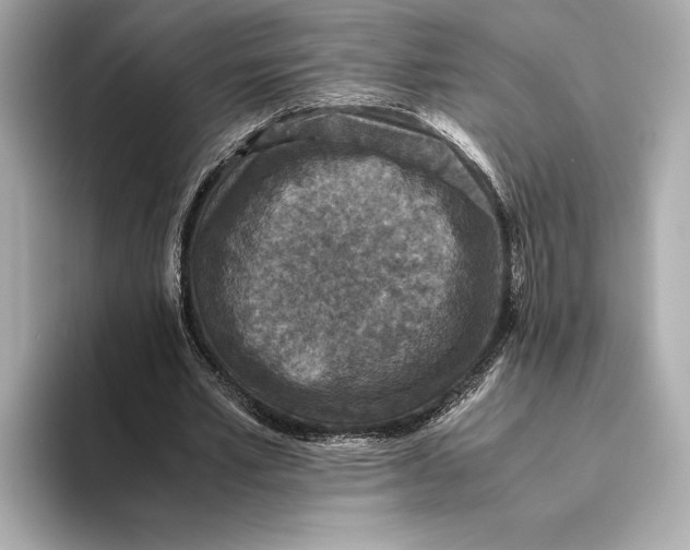 X0000093490581200711020953