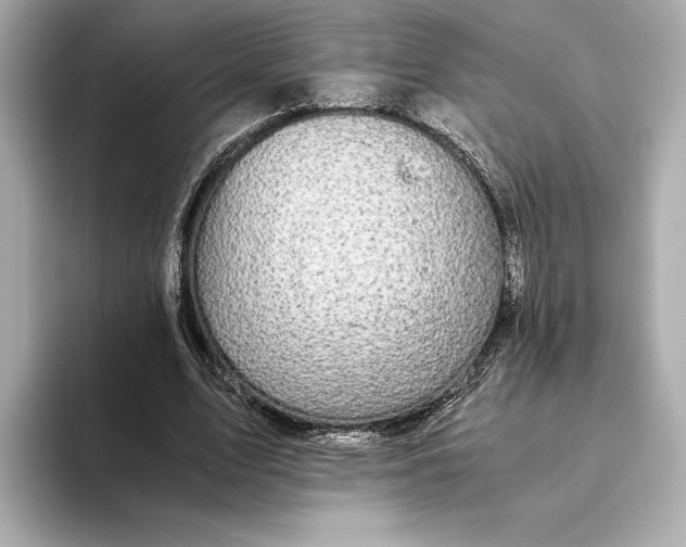 X0000093490583200711020953