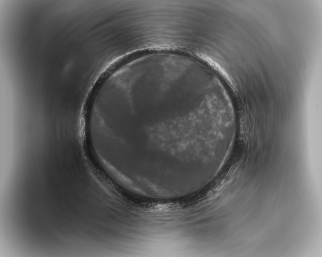 X0000093490584200711020953