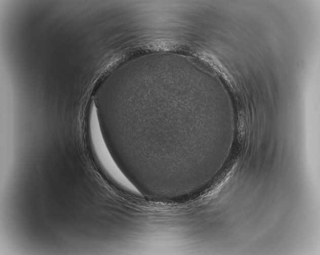 X0000093490585200711020953