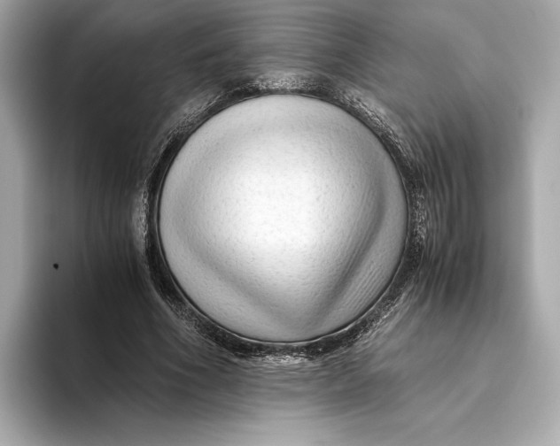 X0000093490586200711020953