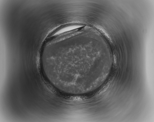 X0000093490588200711020953