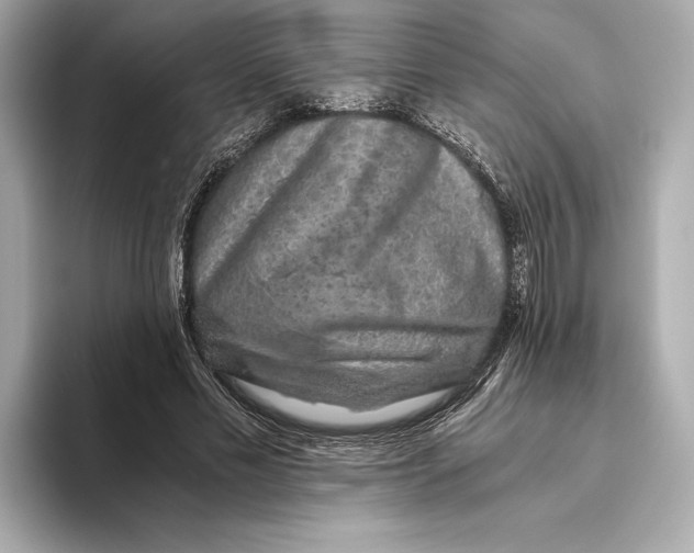 X0000093490589200711020953