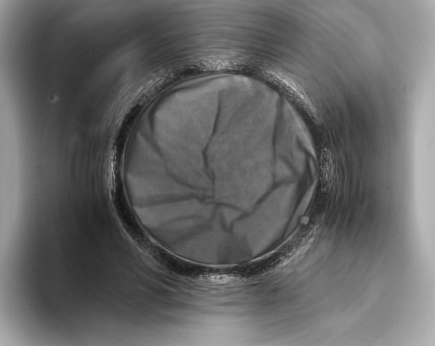 X0000093490590200711020953