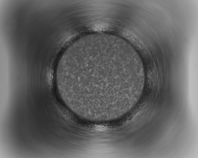 X0000093490592200711020953