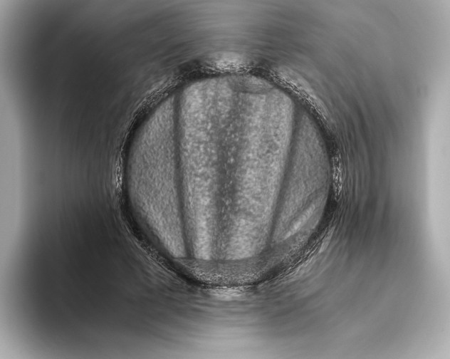 X0000093490593200711020953