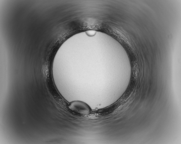 X0000093490595200711020953