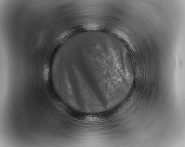 X0000093490596200711020953