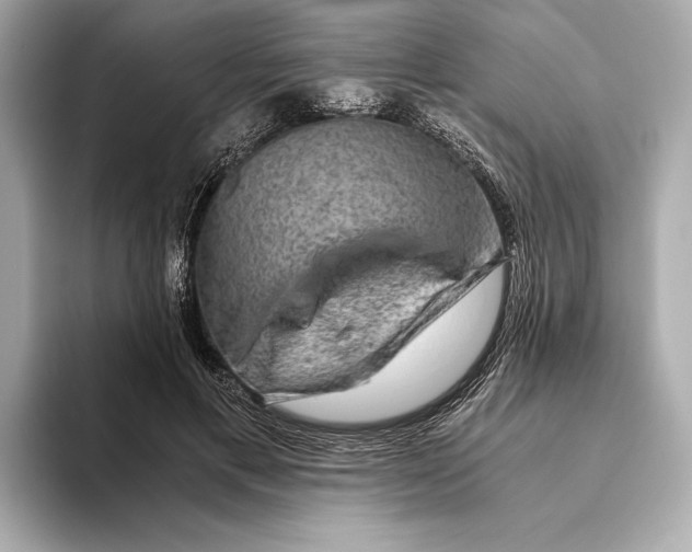 X0000093490597200711020953