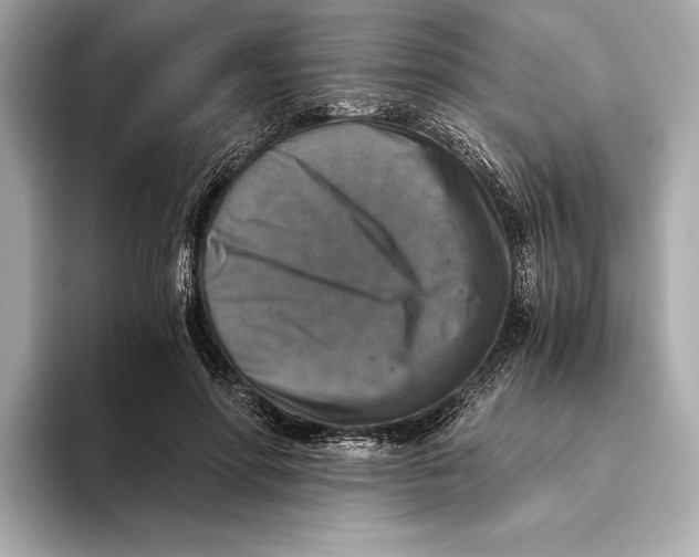 X0000093490598200711020953