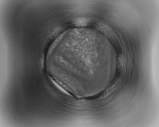 X0000093490600200711020953