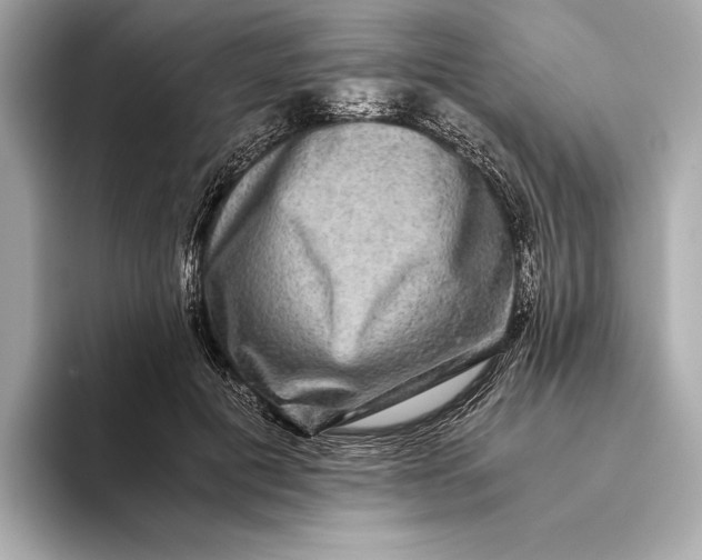 X0000093490601200711020953