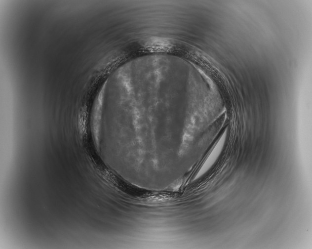 X0000093490604200711020953