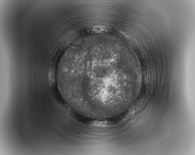 X0000093490606200711020953