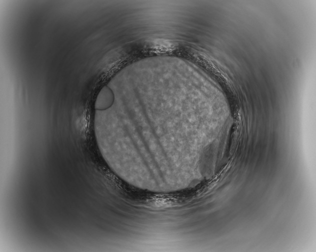 X0000093490608200711020953