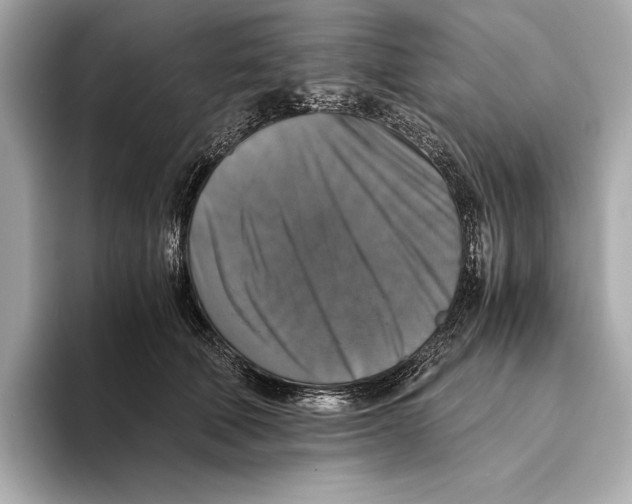 X0000093490610200711020953