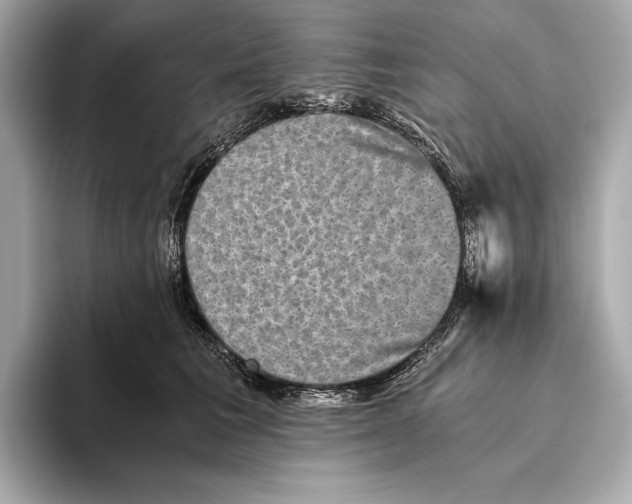 X0000093490613200711020953