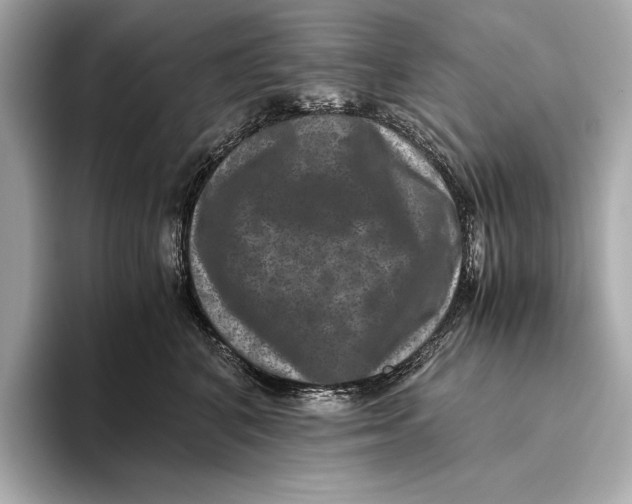 X0000093490616200711020953