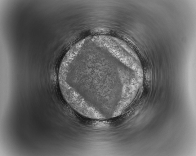 X0000093490617200711020953