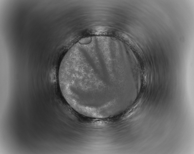 X0000093490620200711020953