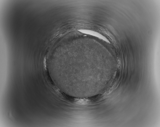 X0000093490621200711020953