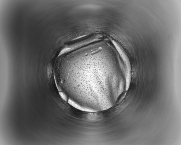 X0000093490623200711020953