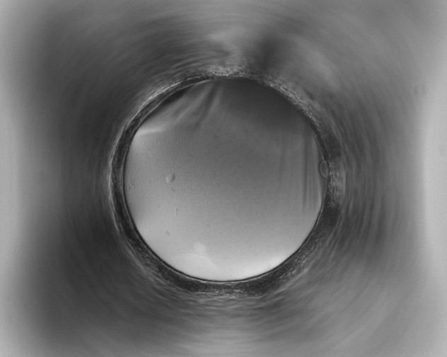 X0000093490626200711020952