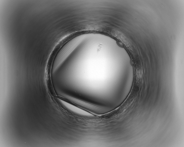 X0000093490628200711020952