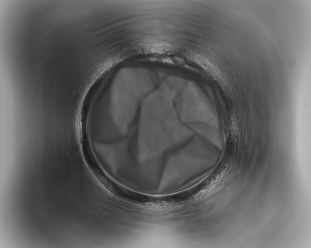 X0000093490630200711020952